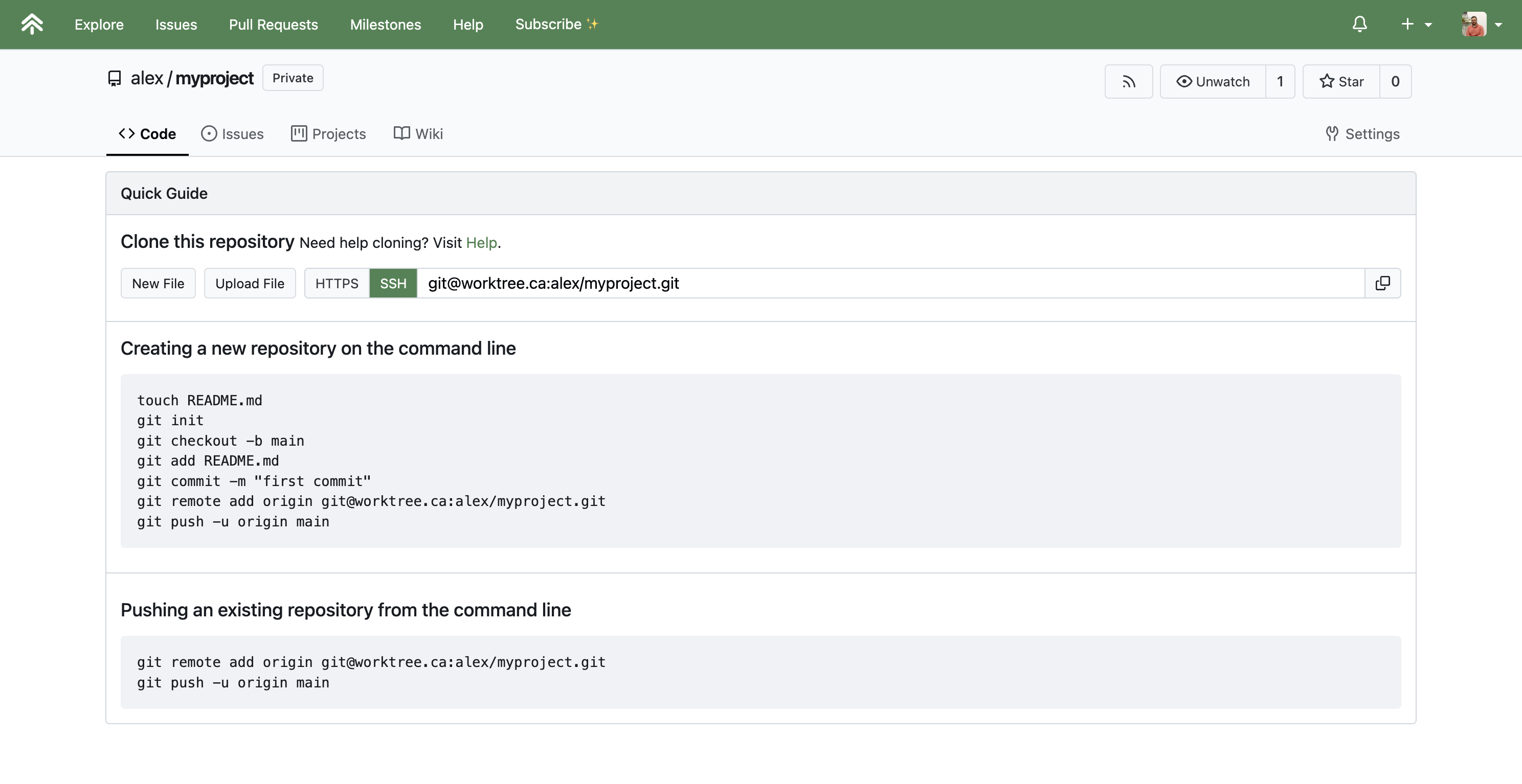 The welcome screen for a new empty repository